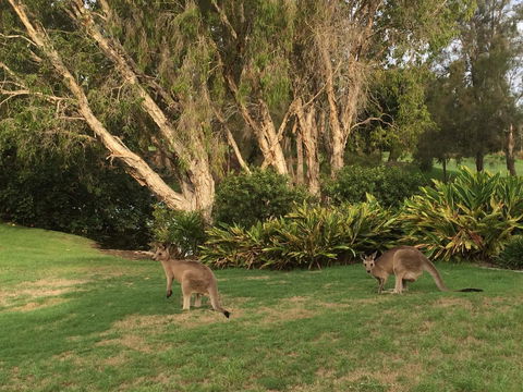 Waterfront Resort Villa With Buggy - Holiday Jervis Bay 19