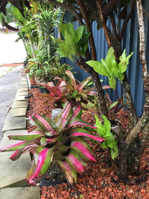 Black Marlin Motel - Holiday Jervis Bay 20