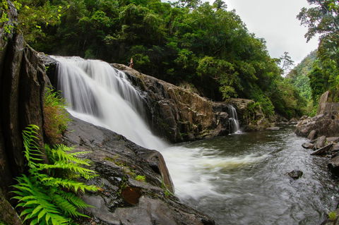 Coral Tree Inn - Holiday Jervis Bay 40