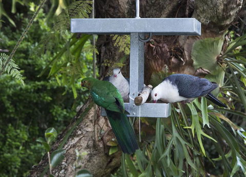 Bower 63 - Holiday Jervis Bay 22