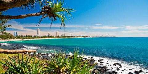 Private Guest Suite High On Currumbin Hill - Holiday Jervis Bay 23