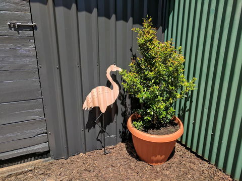 Lilly Pilly House - Holiday Jervis Bay 10