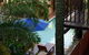 Hibiscus Resort & Spa - Official Onsite Reception & Check In - thumb 34