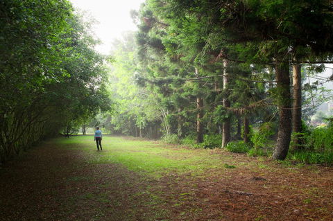 Sharlynn By The River - Holiday Jervis Bay 22