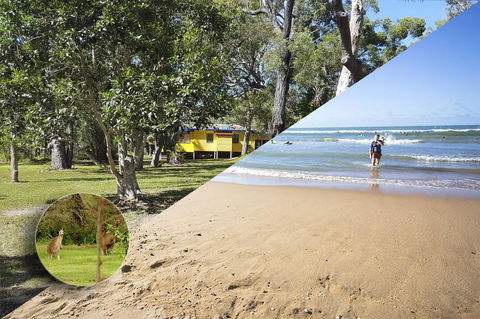Yellow Cottage - Bush And Beach - Holiday Jervis Bay 0