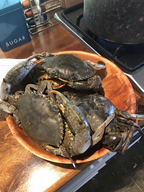 Cairns Beach House Our Oasis - Holiday Jervis Bay 4