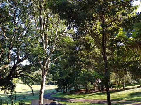 Bee-Haven Cottage - Holiday Jervis Bay 7