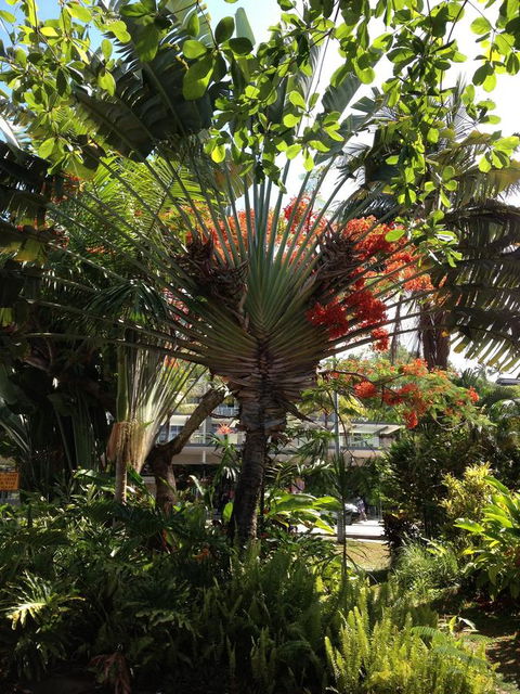 Port Douglas Apartments - Adults Only Oasis - Holiday Jervis Bay 39