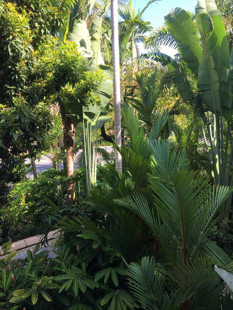 Port Douglas Apartments - Adults Only Oasis - Holiday Jervis Bay 1