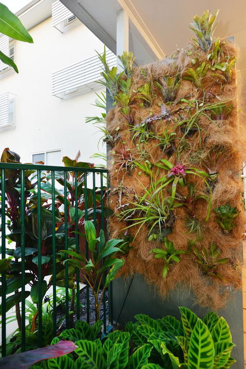 Port Douglas Apartments - Adults Only Oasis - Holiday Jervis Bay 27