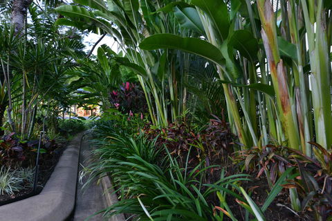 Port Douglas Apartments - Adults Only Oasis - Holiday Jervis Bay 9