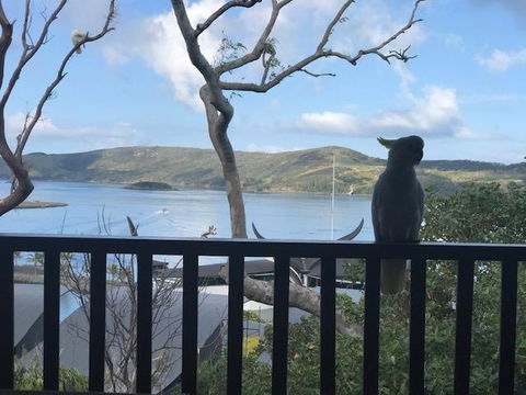 Casuarina Cove 18 - Holiday Jervis Bay 9