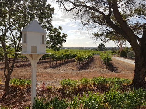 'In The Vines' Guest Cottage, Barossa Valley - Holiday Jervis Bay 0