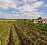 1837 Barossa Luxury Vineyard Cottages - Holiday Jervis Bay