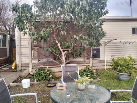 Bungalow Cosystay - Holiday Jervis Bay 0