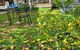 Bungalow Cosystay - thumb 2