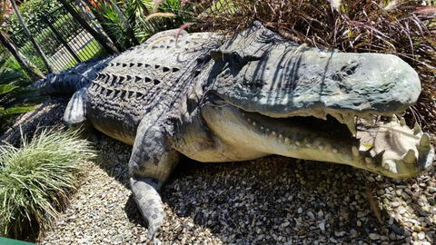 Cairns Gateway Resort - Holiday Jervis Bay 4