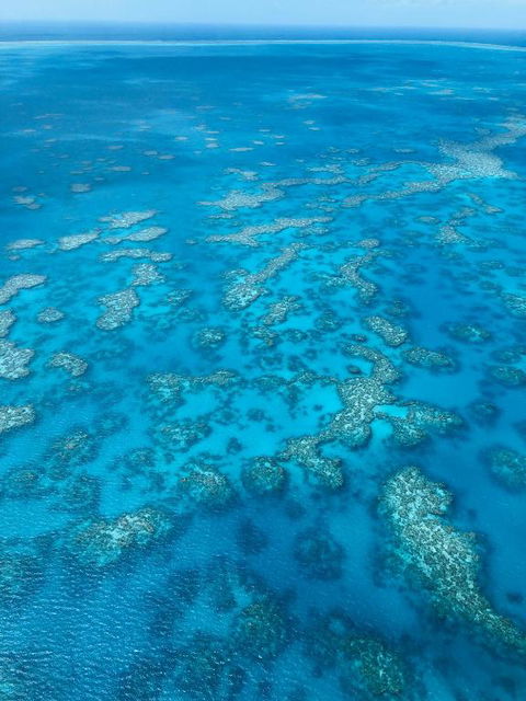Camp Island Lodge - Holiday Jervis Bay 1