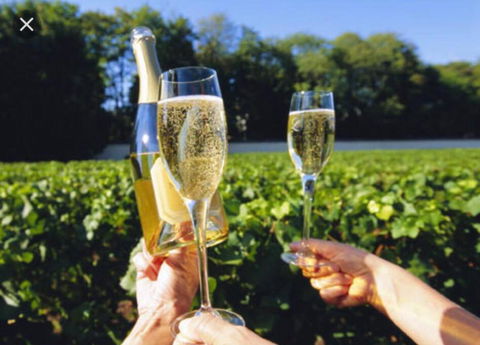 D104 Winston Fresh Fantastic - Holiday Jervis Bay 4