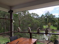 Book Gold Coast Accommodation Vacations Holiday Jervis Bay Holiday Jervis Bay