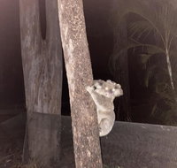 5 mins to Movie world  pet friendly - Holiday Jervis Bay