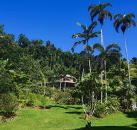A Daintree Garden - Holiday Jervis Bay