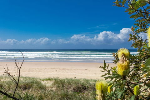 A SWEET ESCAPE - Beachfront Tranquility - Holiday Jervis Bay 3