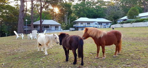 Aaronlee Retreat - Holiday Jervis Bay 2