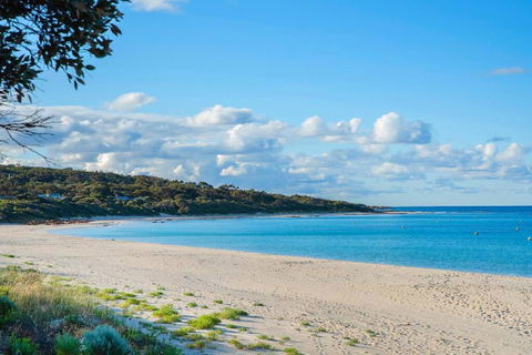Eagle Bay Summerhaus - Holiday Jervis Bay 1
