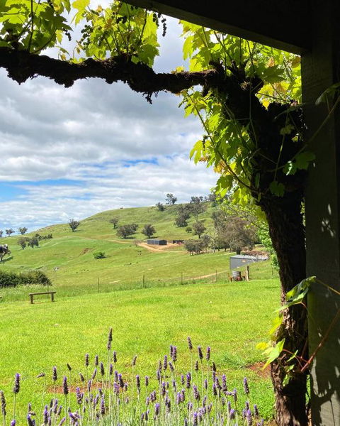 Elevation652 At Mt Bellevue In King Valley - Holiday Jervis Bay 2