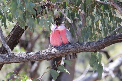 Glenaven Country Escape - Holiday Jervis Bay 4