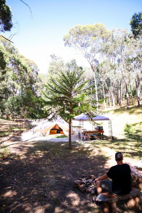 Golden Point Glamping - Holiday Jervis Bay 4