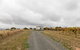 Hounds Run Vineyard - Tiny House In The Grampians - thumb 3