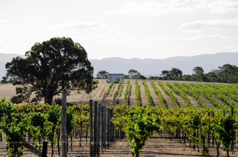 Hounds Run Vineyard - Tiny House In The Grampians - Holiday Jervis Bay 1