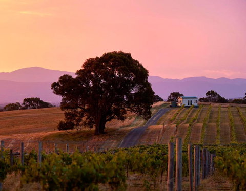 Hounds Run Vineyard - Tiny House In The Grampians - Holiday Jervis Bay 0