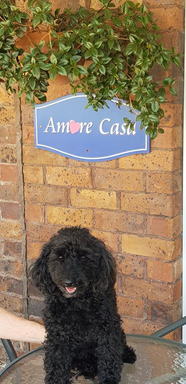 Amore Casa Tenterfield - Holiday Jervis Bay 2