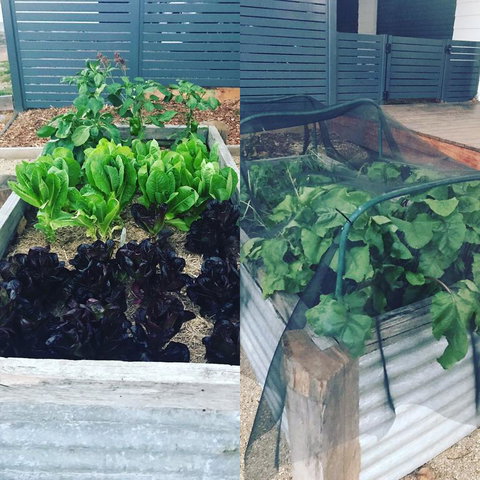 AMs Farm Stay - Holiday Jervis Bay 3