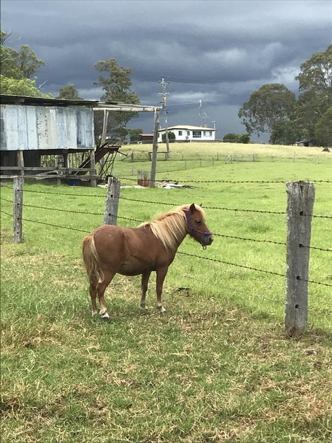 AMs Farm Stay - Holiday Jervis Bay 0