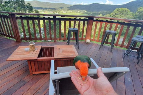 Paterson Skywalk - Holiday Jervis Bay 3