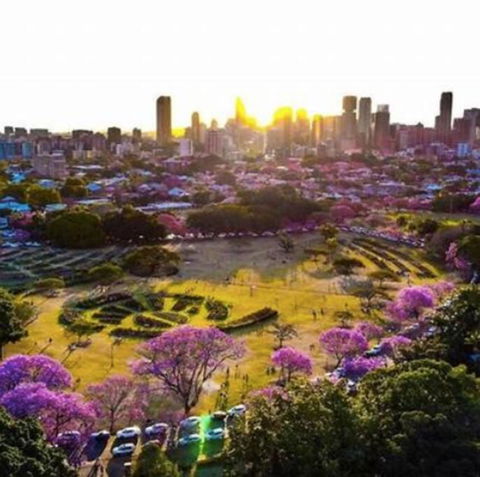 Perfect Haven In Spring Hill 2B1B And Parking - Holiday Jervis Bay 2