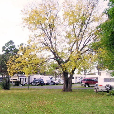 Poplar Tourist Park - Holiday Jervis Bay 2