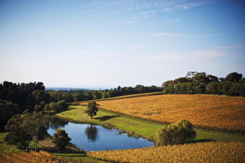 Port Phillip Estate - Holiday Jervis Bay 2