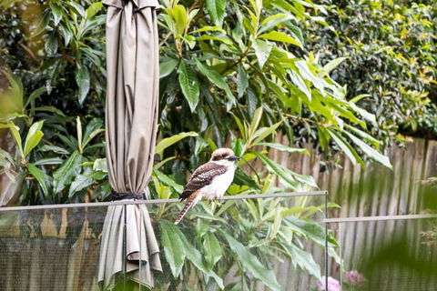 Quaint Queen Room - Central Location At Pymble - Shared Bathroom - Holiday Jervis Bay 1