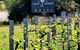 Red Door Collective - RDC Vineyard Estate, Luxury Adult Only Stay - thumb 1
