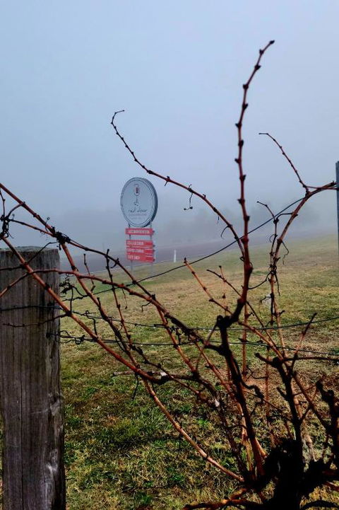 Red Door Collective - RDC Vineyard Estate, Luxury Adult Only Stay - Holiday Jervis Bay 3