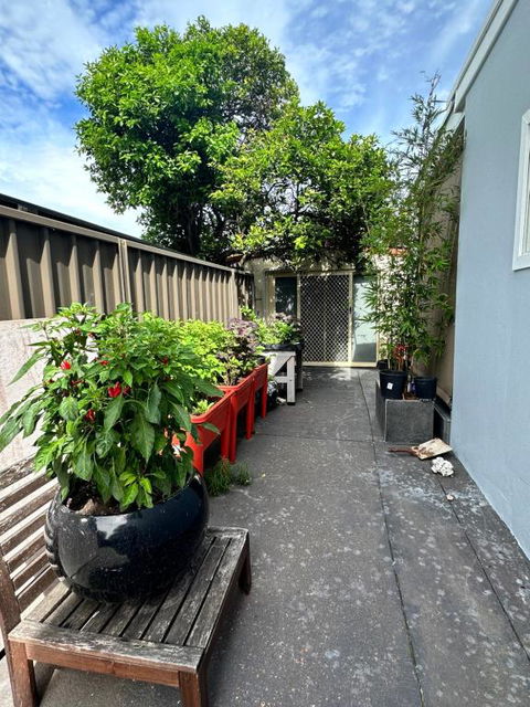 Private, Local Living Studio In Mascot, Airport - Holiday Jervis Bay 2