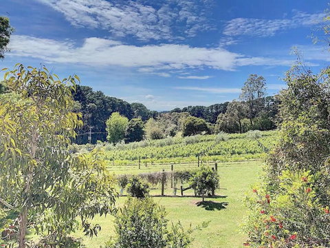 Red Hill Lane 5BedroomVineyard&RuralValleyViews - Holiday Jervis Bay 3
