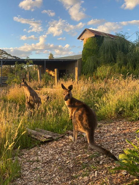 Private Country Escape With Valley Views - Holiday Jervis Bay 2