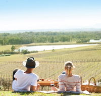 Audrey Wilkinson Vineyard - Holiday Jervis Bay