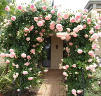 Baudins of Busselton Bed and Breakfast - Holiday Jervis Bay